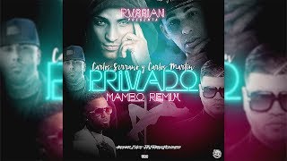 Rvssian  Privado ft Nicky Jam Farruko Arcangel Konshens Mambo Remix [upl. by Agathy]