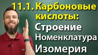 111 Карбоновые кислоты Строение номенклатура изомерия ЕГЭ по химии [upl. by O'Kelly10]