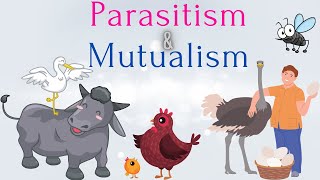 What is Parasitism and Mutualism  Difference Between Parasitism and Mutualism  Biology [upl. by Gnihc]