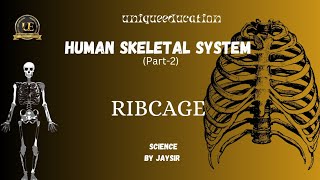 RIBCAGEUnderstanding the Human Ribcage Structure and FunctionUNIQUEEDUCATION uniqueeducation [upl. by Aiuqet774]