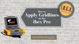 Ibex Pro Applying Gridlines [upl. by Biamonte]