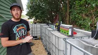 How we set up our outdoor shrimp tubs [upl. by Rustice]