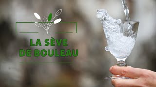 La sève de bouleau  épisode 5 [upl. by Cohla824]