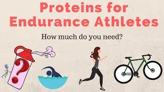 How Much Protein Do I Need Protein guidelines for Cycling amp Triathlon [upl. by Ermin]