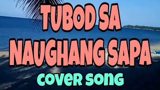 NAUGHANG SAPA  Cover Song  entingpasaway5962  Luz Loreto [upl. by Easton823]