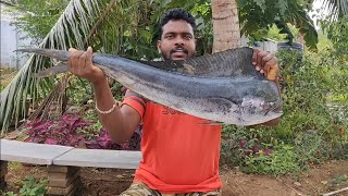 Mahi mahi fish  Parla meen  Dolphin fish cleaning and cooking tips in Tamil [upl. by Bolen588]