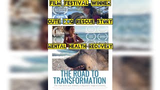 Cute Dog Rescue Story Film Festival Winner Mental Health Recovery Hope AdventureTravel [upl. by Drucy]