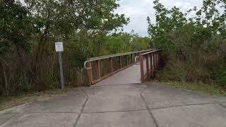 Ten Thousand Islands Marsh Trail Hiking Observation Tower [upl. by Anaiek997]