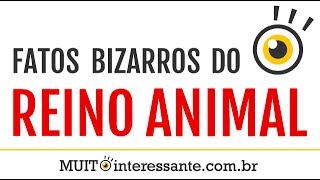 Fatos Bizarros do Reino Animal  MUITO interessante 1 [upl. by Ellehcin760]