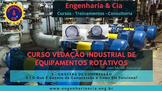 31  32 O Que É Gaxeta E Como Funciona  CURSO VEDAÇÃO INDUSTRIAL DE EQUIPAMENTOS ROTATIVOS [upl. by Lesh]