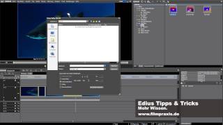 EDIUS TRICK  HD Ausgabe mit 50 P Vollbildern  Wissen aus der Filmpraxis [upl. by Neelsaj]