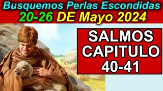 Busquemos PERLAS ESCONDIDAS de esta semana 2026 de Mayo 2024 Comentarios [upl. by Yesnnyl]