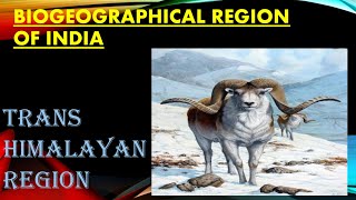 BIOGEOGRAPHICAL ZONES OF INDIA for UPSC  TRANSHIMALAYAN REGION UPSC [upl. by Isleen958]