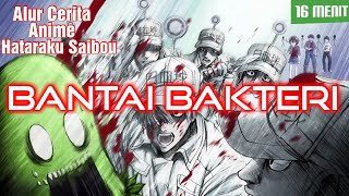 Bantai Bakteri  Alur Cerita Anime Hataraku Saibou [upl. by Kazim]