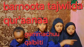 ١٠ أكتوبر ٢٠٢٤ faaruun keetii rabbii nuuf tolte hardhaaf borii [upl. by Elleryt]