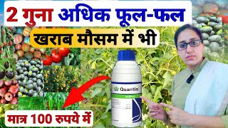 Syngenta Quantis  quantis syngenta uses in hindi  plant growth tonic  humic acid  Quantis  pgp [upl. by Noreht295]