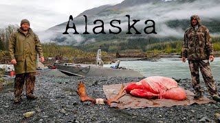 From the Swamp to Table  Alaskan Moose Hunt [upl. by Irah]