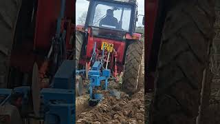 International 885XL Tractor at Lutterworth Ploughing Practice Day Sunday 14th April 2024 [upl. by Brockwell]