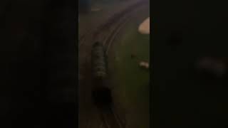 what ttte flyingscotsman incident fyp [upl. by Enajharas]