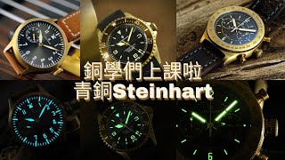 青銅Steinhart  Steinhart Bronze  有潛水、有飛行、仲有Marine  銅學們  Steinhart Ocean One  銅蝦 [upl. by Eanad]