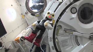 Kirobo Speaks Japanese Talking Robots First Words In Space  Video [upl. by Esinaj]