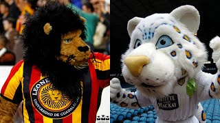 SÓ FERAS 50 CLUBES DE FUTEBOL QUE TÊM FELINOS COMO MASCOTES [upl. by Yecart225]