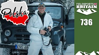 Fieldsports Britain – Hunting urban deer in Poland [upl. by Eilujna893]