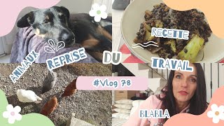 Vlog 78  Retour au boulot  Recette panier too good to go et mini courses [upl. by Janetta]