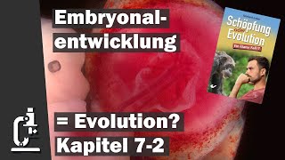 Evolution in der Embryonalentwicklung Schöpfung oder Evolution 72 [upl. by Nileuqay]