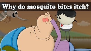 Why do mosquito bites itch  aumsum kids science education children [upl. by Kimberley]