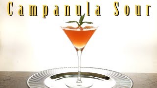 How To Make A Campanula Sour  Drinks Made Easy [upl. by Linzy]