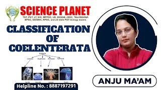 CLASSIFICATION OF COELENTERATA II BY ANJU MAM II SCIENCE PLANET II [upl. by Ellevel]