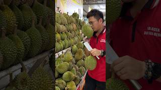 The Most Popular Durian Store in Malacca Malaysia  Fruit Cutting Skills [upl. by Grimbly968]