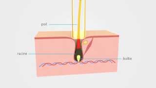 Epilium Epilation Laser  Principe et explication [upl. by Ssegrub]