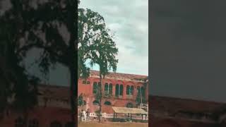 PRESIDENCY COLLEGE CHENNAI [upl. by Johppah]