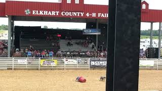 Elkhart County Fair  Dog vs Man [upl. by Allimaj]