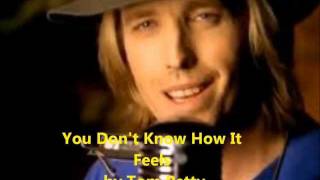 You Dont Know How It Feels Tom Petty Lyrics on screen [upl. by Ardnuyek]