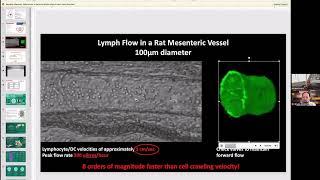 Another Amazing Interview with Pr Jimmy Moore New Research on Lymph Vessel Pumping amp Lymph Nodes [upl. by Volney]