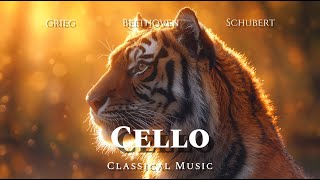 Classical Music Cello [upl. by Collayer]