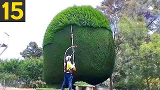 15 AMAZING Hedges and Landscaping Work [upl. by Rebmyt]