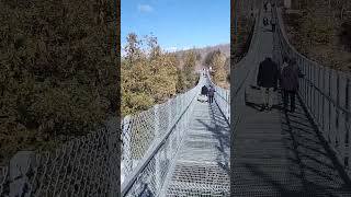 Ranney Suspension Bridge Campbellford ontario canada travel [upl. by Sawtelle810]