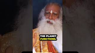 The dynamic change in the sunspots Sadguru Speeches [upl. by Yecaw987]