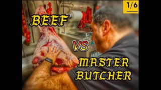 Despiece o Desposte de Res How to Butcher Beef 16 El bbq´S tapa topsidetoproundnalgashorts [upl. by Aihsetel]