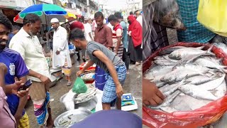 দেশের মানুষ এখন ইলিশ মাছ খেতে পারে । Konakhola Fish Bazar । [upl. by Anerda726]