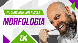 CNU  Morfologia  Professor Noslen professornoslen cnu2024 [upl. by Lleuqram]