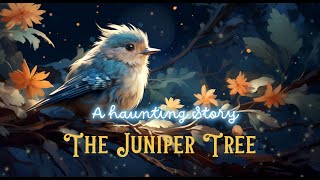 Sleep Deep with a Haunting Tale amp Rain Sounds ｜The Juniper Tree ｜Mystical Bedtime Story [upl. by Nymzaj19]