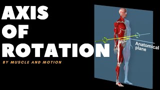 Understanding Axes of MovementRotation [upl. by Olnton109]