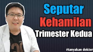 KEHAMILAN TRIMESTER KEDUA [upl. by Hanafee]