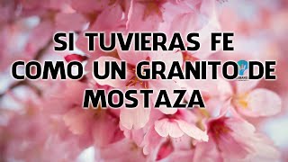 Si Tuvieras Fe Como Un Granito De Mostaza  Coros Pentecostales De Fuego Y Avivamiento [upl. by Ringe]