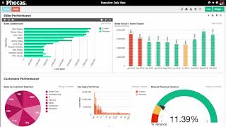 Phocas 4minute miracle North America  business intelligence video [upl. by Nevear]